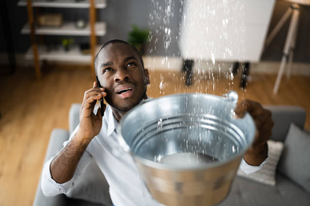 Best Basement water damage restoration  in Rosedale, MS