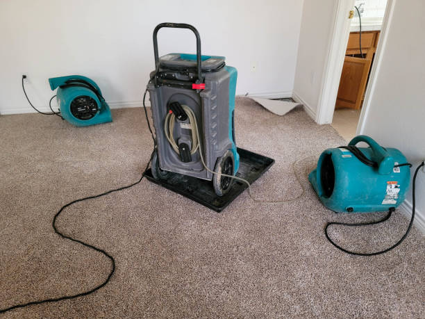  Rosedale, MS Water damage restoration Pros