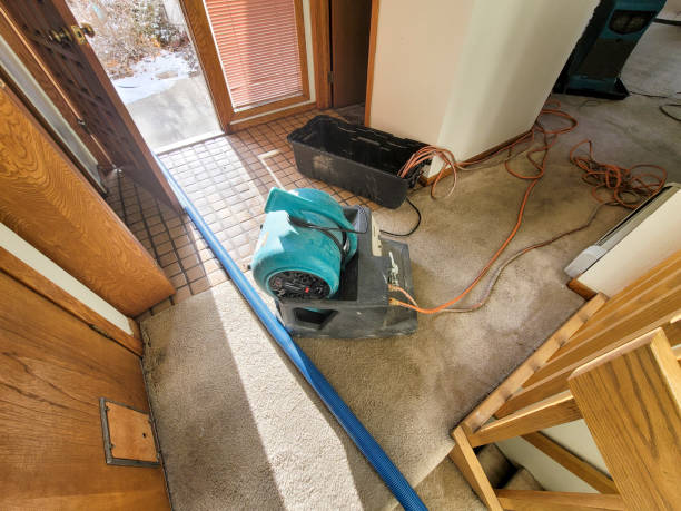Best Carpet water damage restoration  in Rosedale, MS