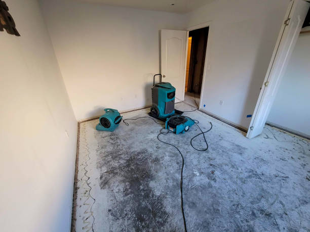 Best Mold removal after water damage  in Rosedale, MS