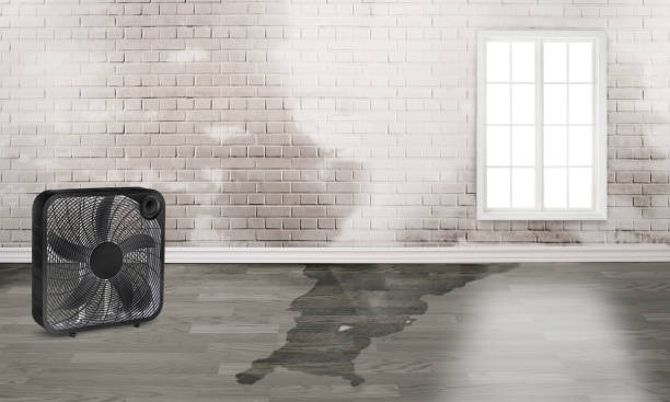 24/7 water damage repair in Rosedale, MS