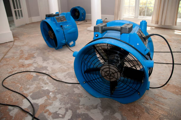Reliable Rosedale, MS Water damage restoration Solutions