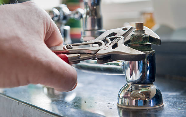 Best Professional water damage repair  in Rosedale, MS