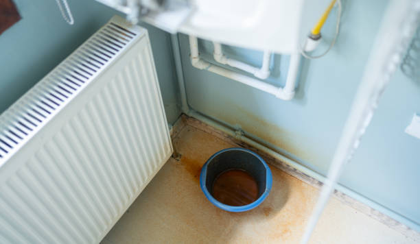 Best Fire Damage Restoration  in Rosedale, MS