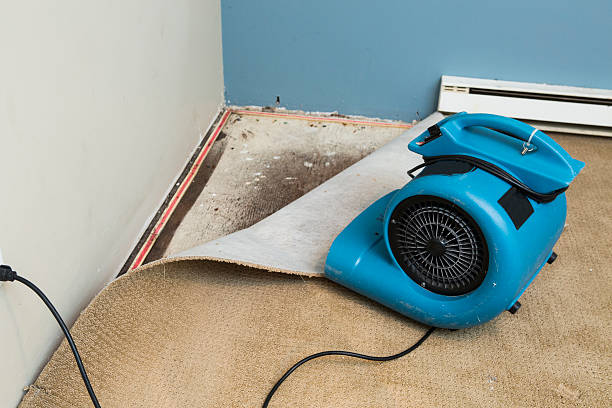Water damage restoration process in Rosedale, MS